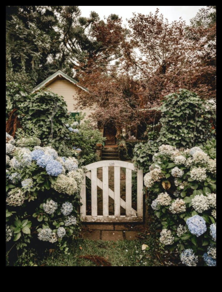 Savdabīgi rekolekciji: kotedžu dārzu projektēšanas burvība