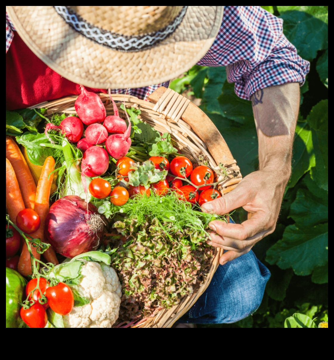 Bezgalīgā raža: siltumnīcas dārza noslēpumi
