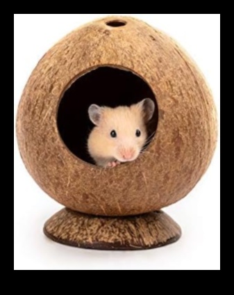 Kāmja izcilākie turpinājumi Elegants skapis jūsu mazajam grauzējam 3 Kāmja svarīgākie punkti turpinājums: Mazā grauzēja krāšņā skapja paplašināšana un uzlabošana