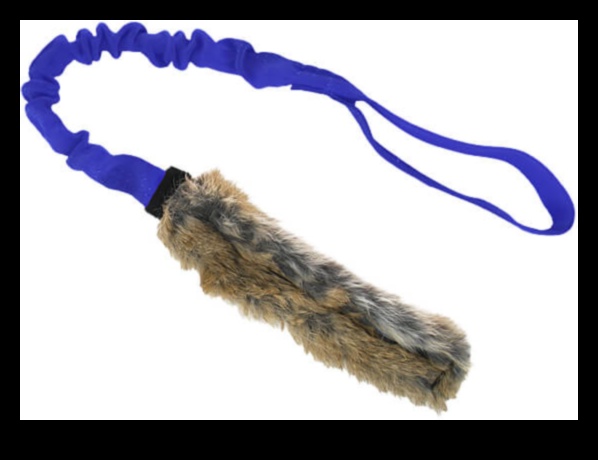 Bunny Bungee: lēkšanas prieka nodrošināšana trušiem