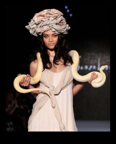 Rāpuļu skrejceļš Skatiet jaunākos rāpuļu modes stilus 4 Rāpuļu skrejceļš: stils ar rāpuļiem paredzētiem piederumiem