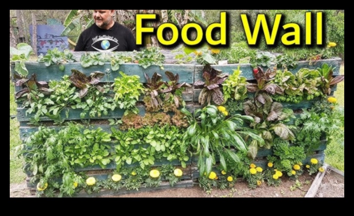 Maza telpa, liela zaļa: pilsētas dārzkopības noslēpumi