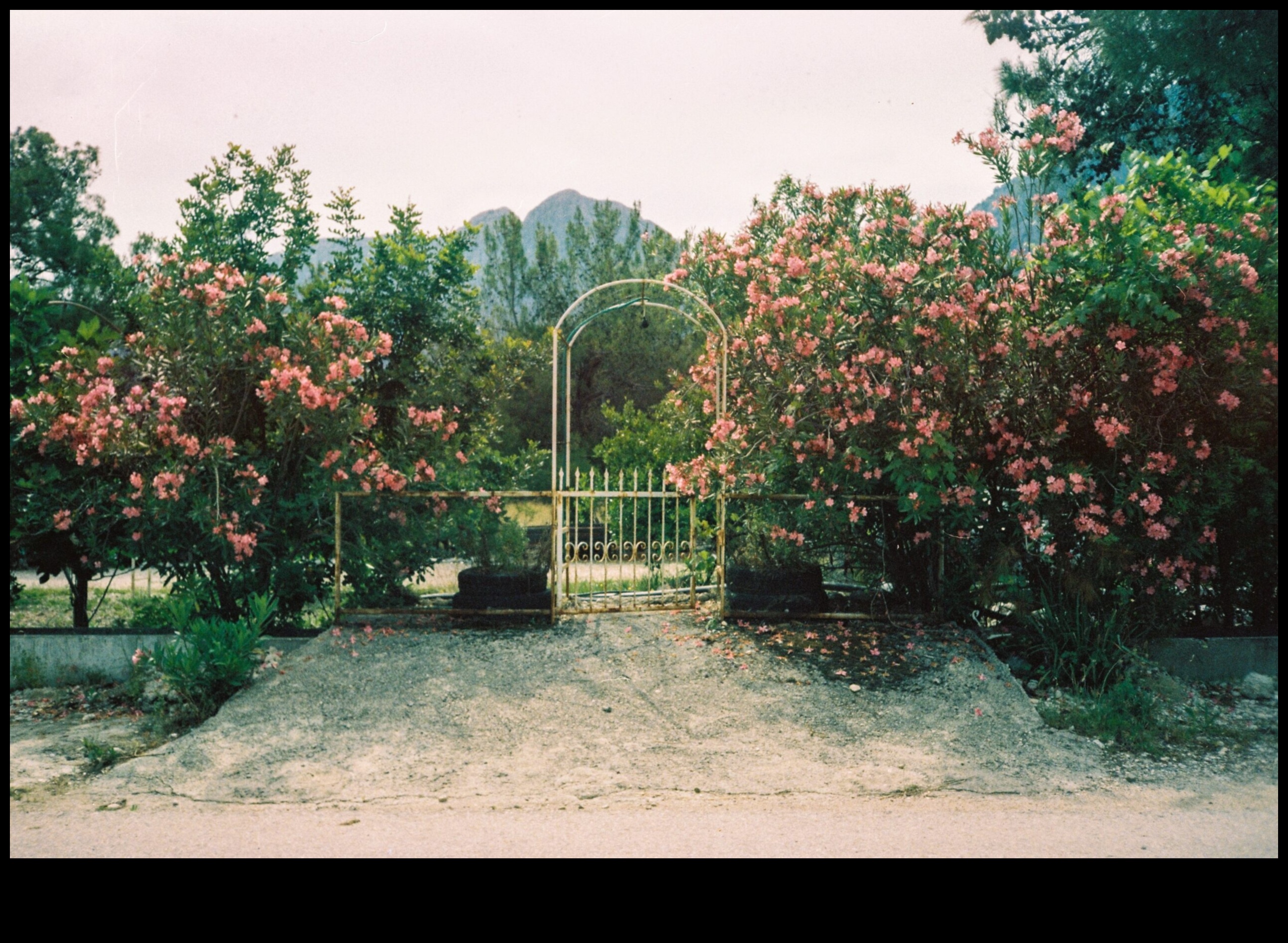 Burvīgas āra telpas ar burvīgu botānisku dizainu