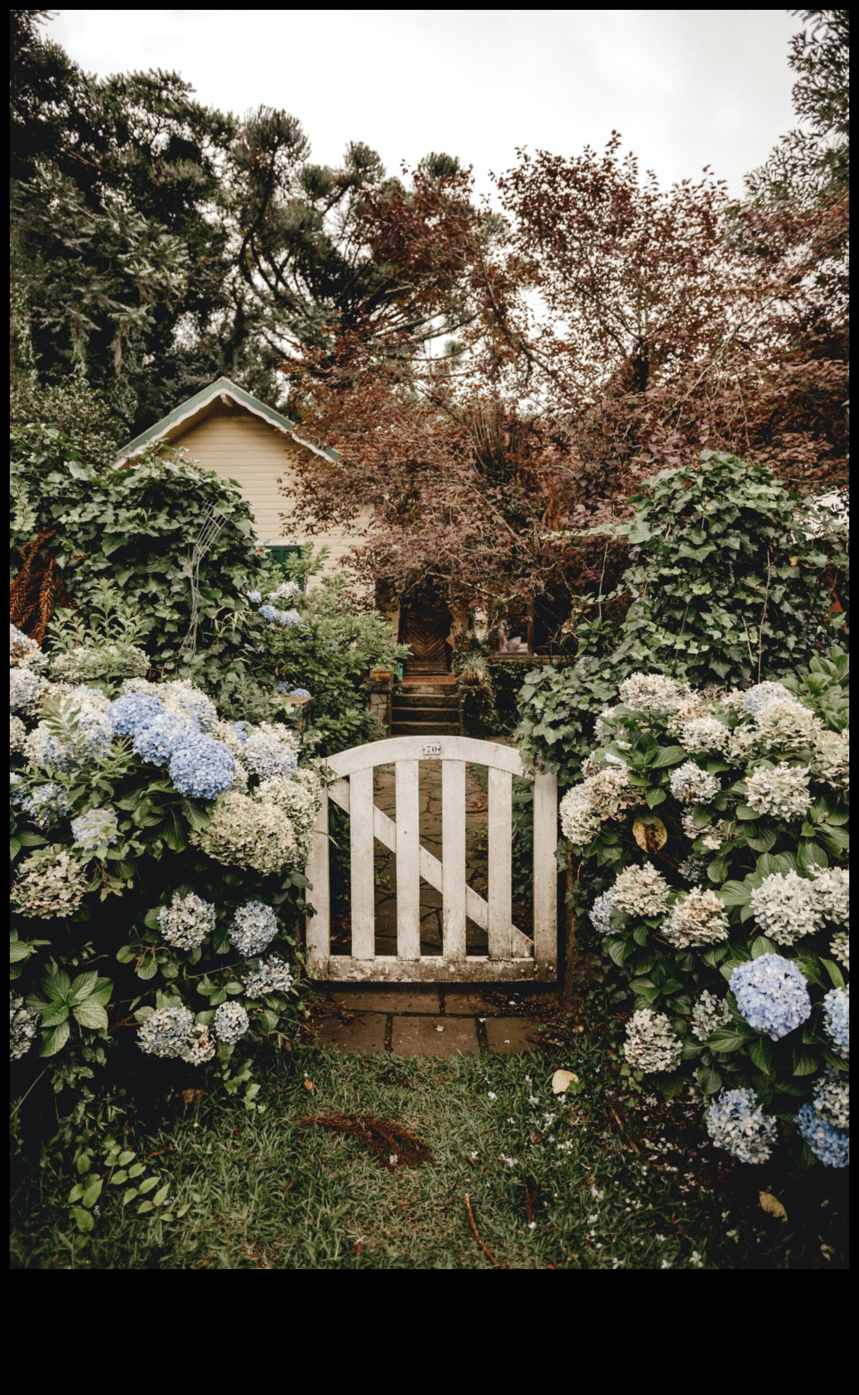 Burvīgas āra telpas ar burvīgu botānisku dizainu