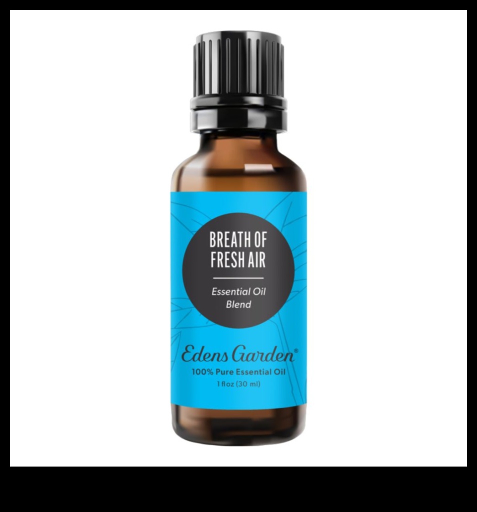 Ieelpojiet savu dārzu, izmantojot šo vismodernāko aprīkojumu 5 Ieelpojiet savu dārzu: augstākās klases aprīkojums