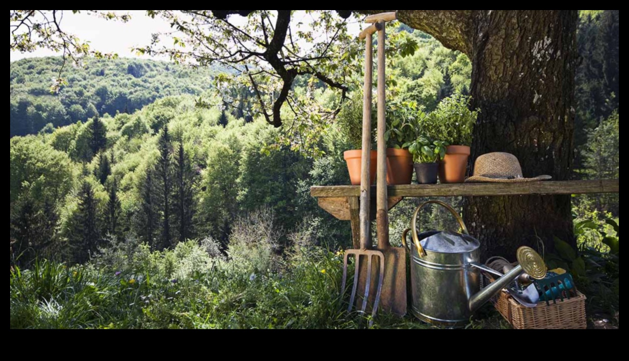 Ieelpojiet savu dārzu, izmantojot šo vismodernāko aprīkojumu 3 Ieelpojiet savu dārzu: augstākās klases aprīkojums