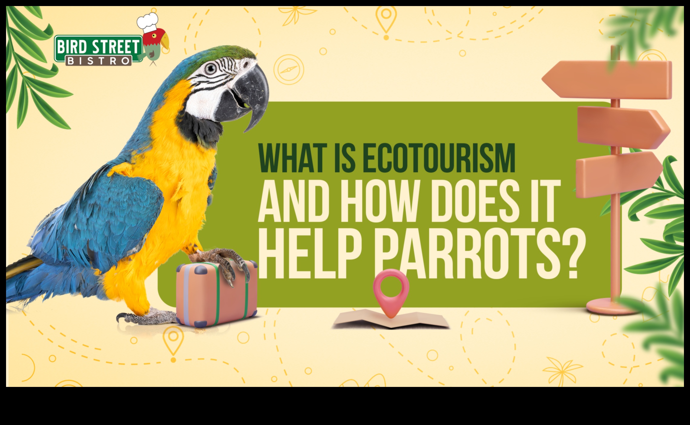 Putni un ekotūrisms: līdzsvarot saglabāšanu ar atbildīgu tūrismu