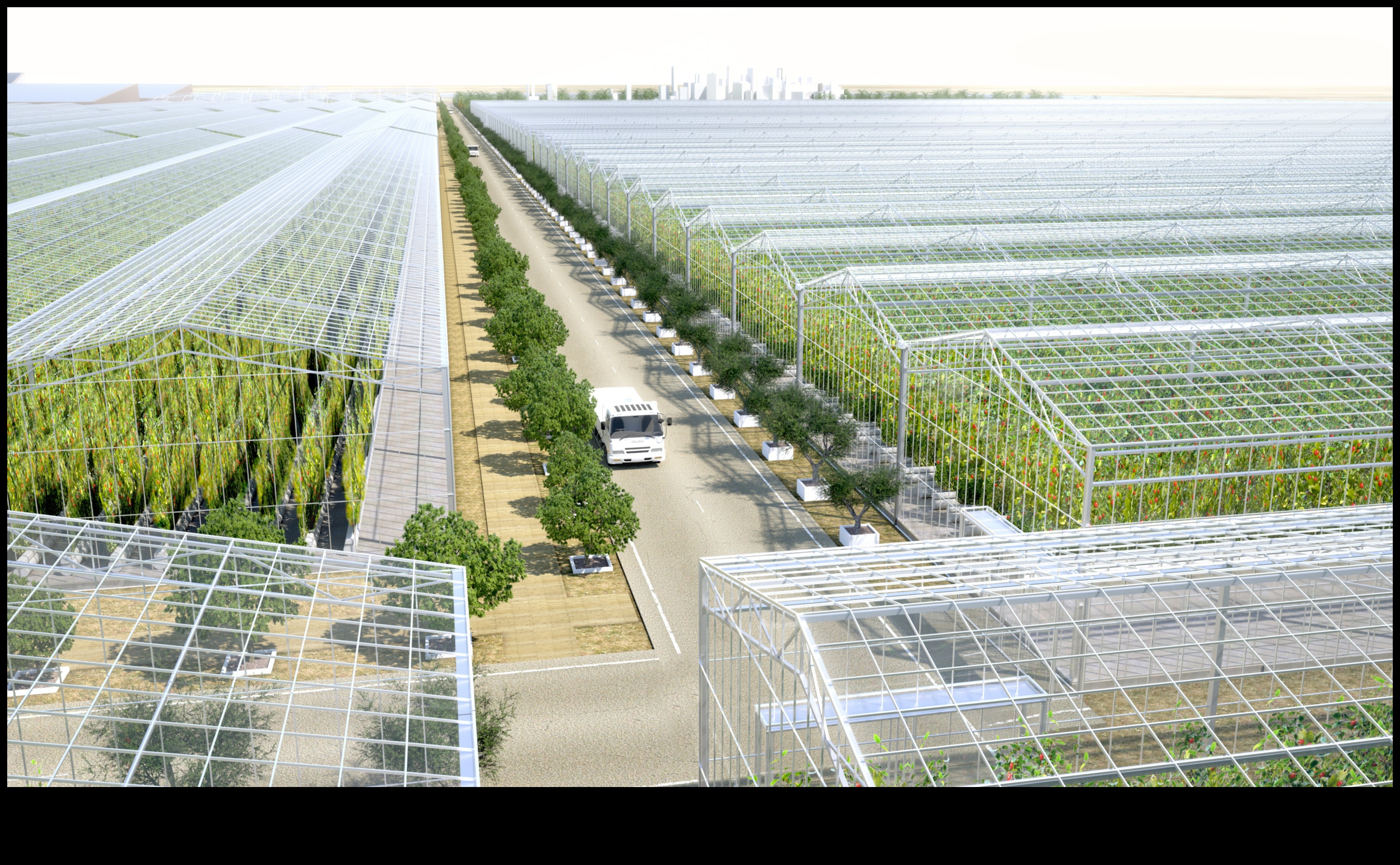 Ilgtspējīgi Serenity bioloģiskie dārzi līdzsvarotai dzīvei 4 Ilgtspējīgs miers: organiskie dārzi līdzsvarotai dzīvei