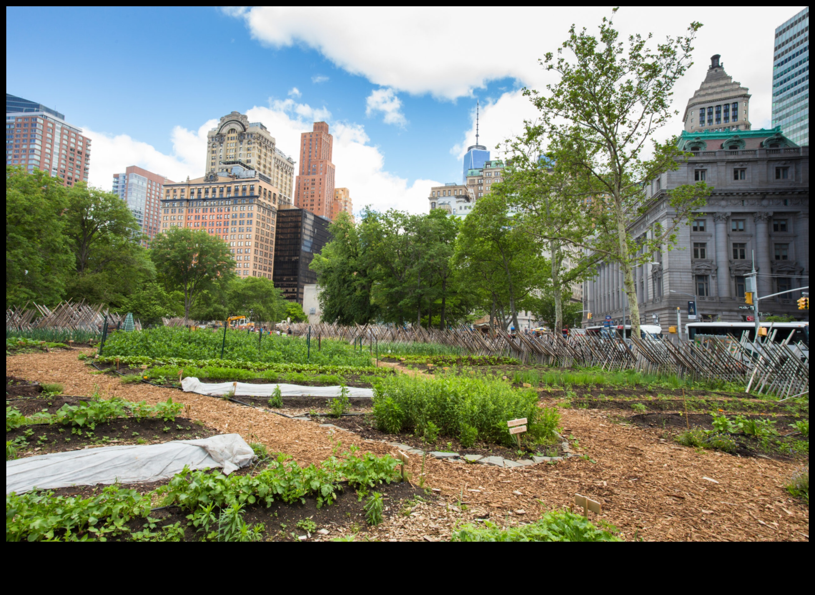 Daudzstāvu dārzkopība: pilsētas dārzkopības prieki virs pilsētas