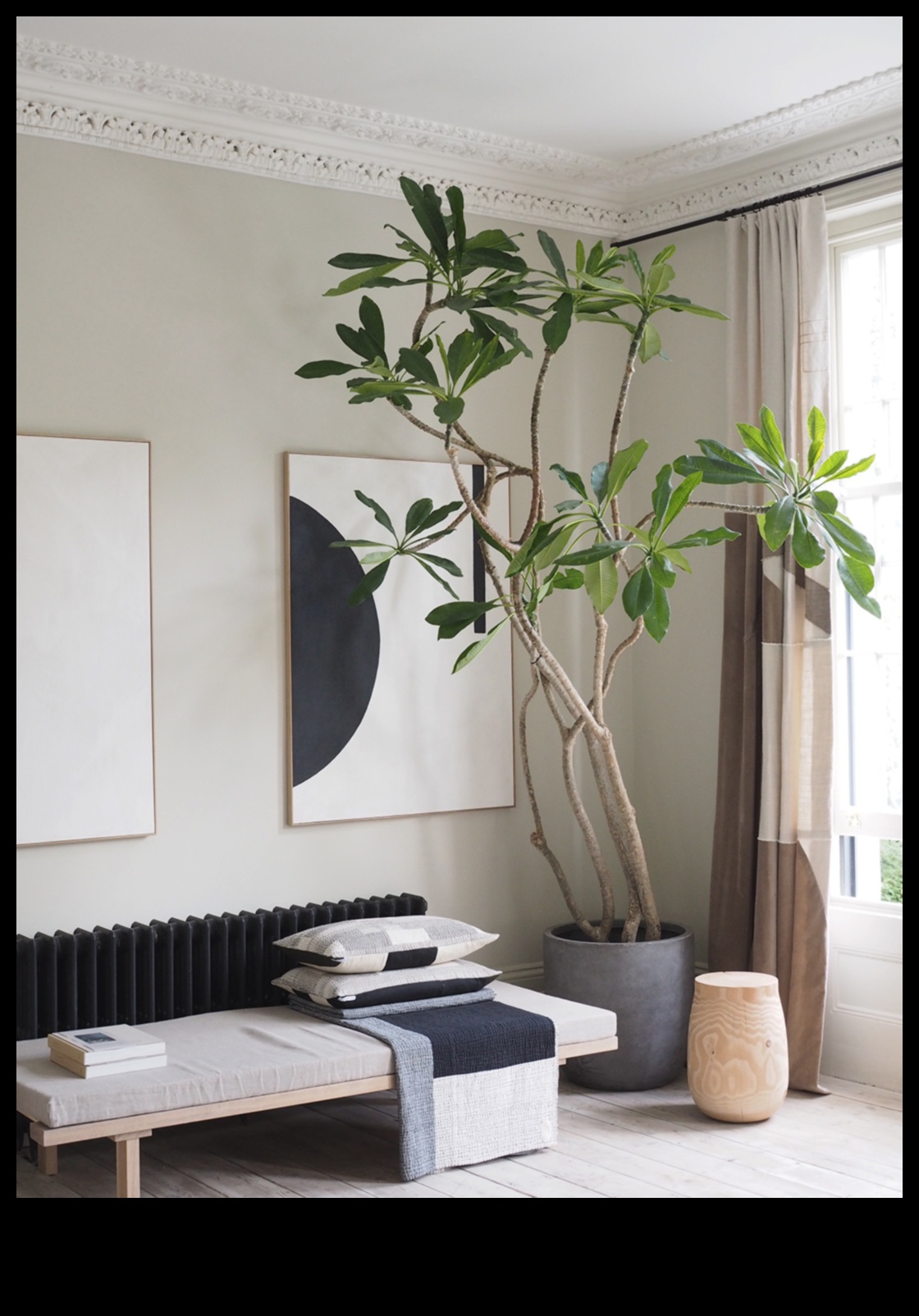 Greenery Glam: stilīgi akcenti dārza brīnumzemei