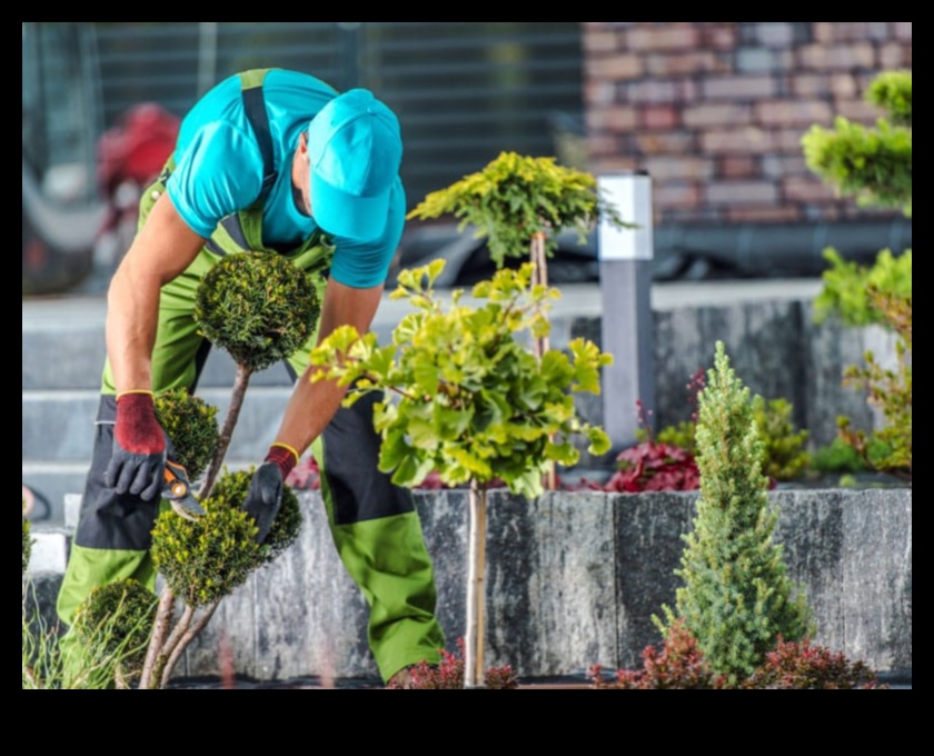 Bloom ar Bliss Atklājiet nepieciešamos rīkus jūsu dārzam 5 Bloom with Bliss: Būtiski dārza instrumenti ir atklāti