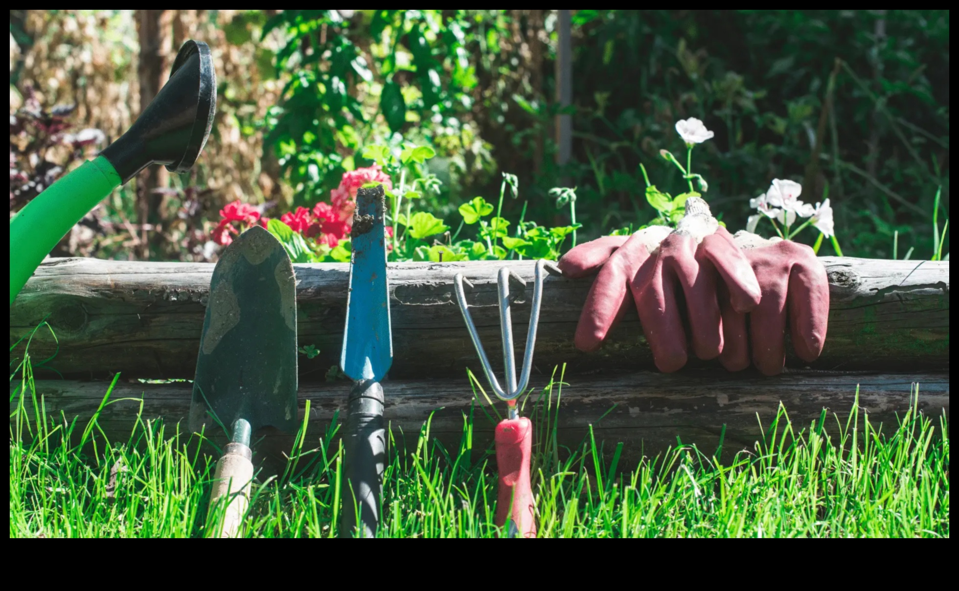 Ražas novākšana — 5 veidi, kā uzlabot dārza rīku komplektu 3 Ražas novākšanas laime: jauniniet savu dārza rīku komplektu