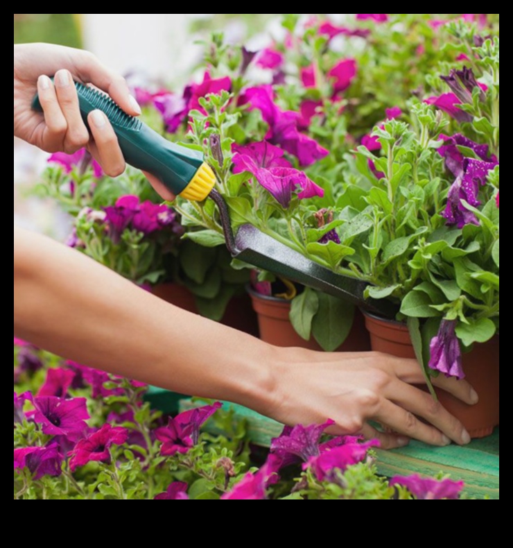 Dārzā iekštelpās audzējiet savu zaļo īkšķi, izmantojot šos 7 padomus 3 Dārzs iekštelpās: vienkārši padomi veiksmīgai iekštelpu apstādījumu veidošanai