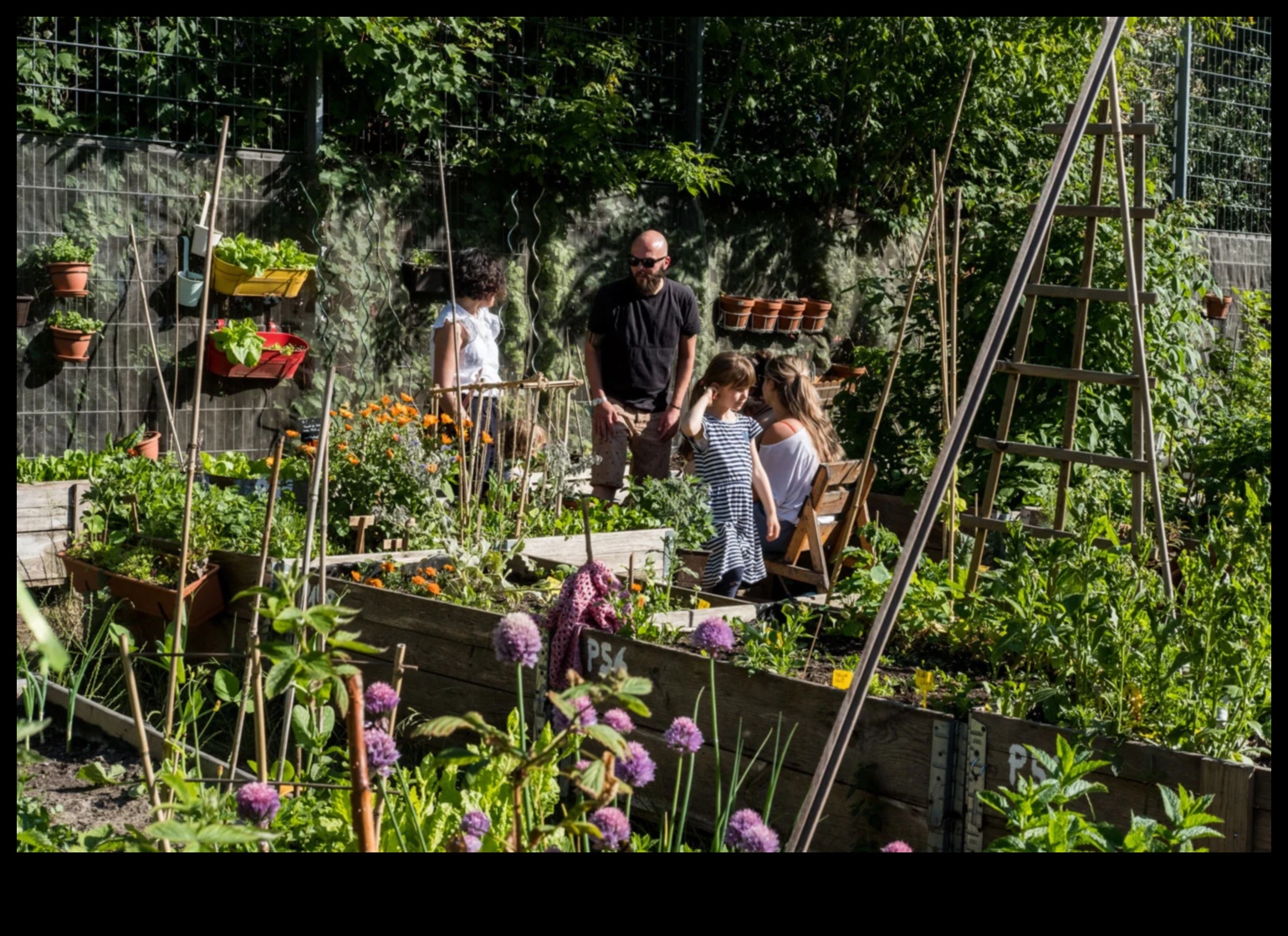 Ziedi starp ēkām: pilsētas dārzkopības noslēpumi