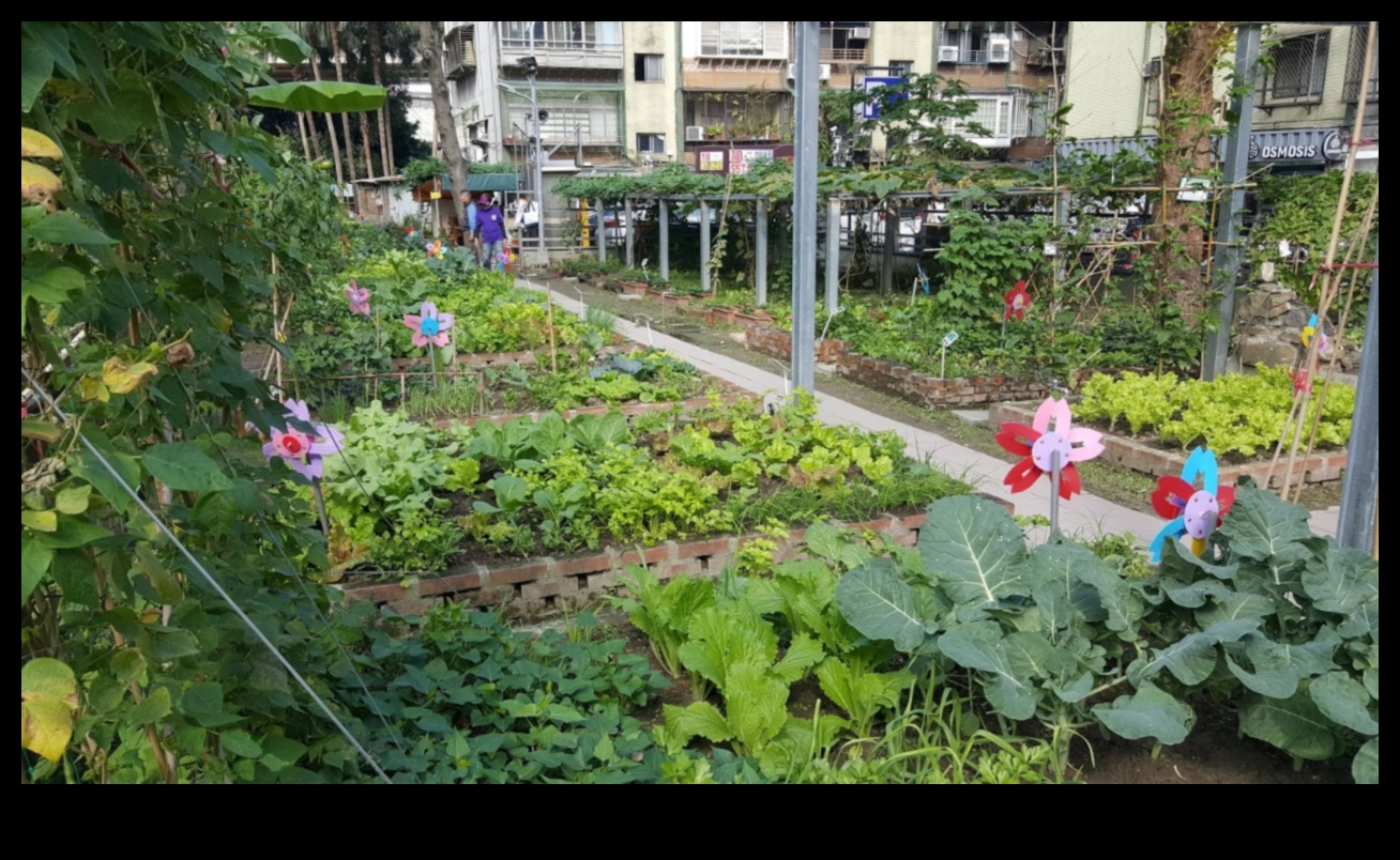 Ziedi starp ēkām: pilsētas dārzkopības noslēpumi