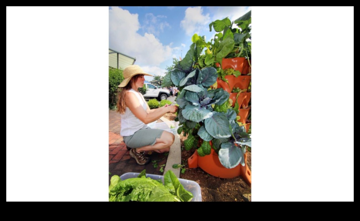 Ziedēšana uz augšu: vertikāli dārzkopības piedzīvojumi