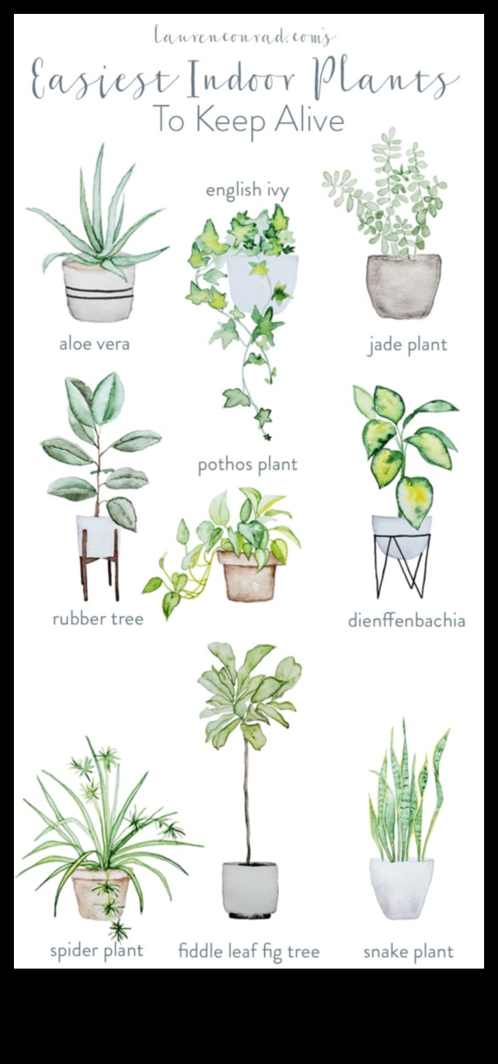 Zaļais īkšķis iekštelpās Izkop savu burvību 3 Zaļais īkšķis iekštelpās: iekštelpu dārzkopības burvības atraisīšana