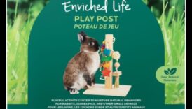 Bunny Bliss: bagātinošas aktivitātes rotaļīgiem trušiem