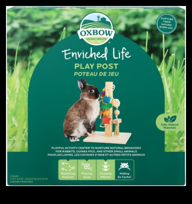 Bunny Bliss: bagātinošas aktivitātes rotaļīgiem trušiem