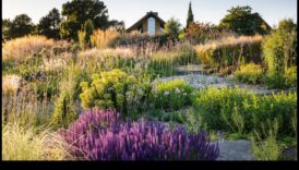 Ilgtspējīgi asni: videi draudzīga dārza kopšanas prakse