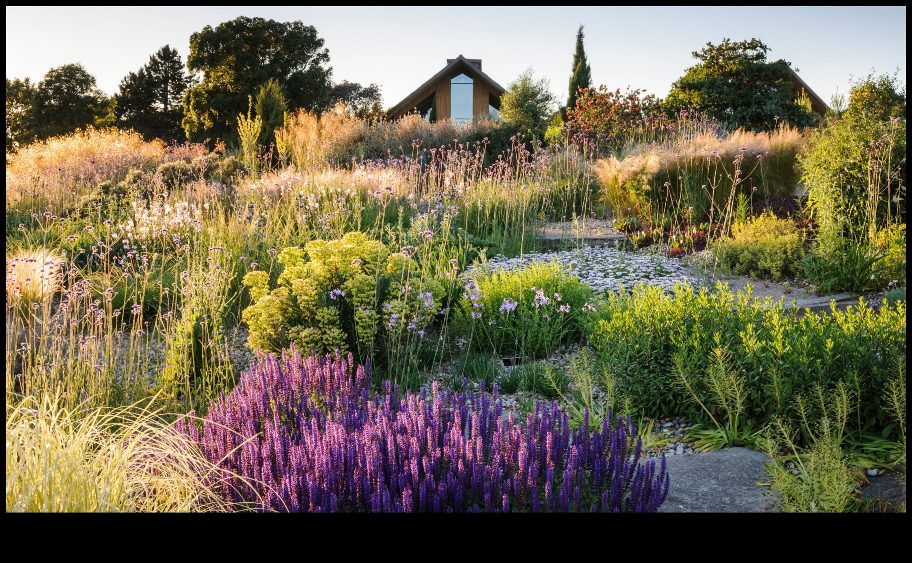 Ilgtspējīgi asni audzē zaļākus dārzus, izmantojot videi draudzīgu praksi 1 Ilgtspējīgi asni: videi draudzīga dārza kopšanas prakse