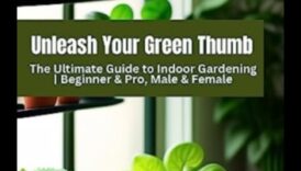 Izaudzējiet zaļo īkšķi dārzā iekštelpās, ar šos 7 padomus 5 Dārzs iekštelpās: vienkārši padomi veiksmīgai iekštelpu apstādījumu veidošanai