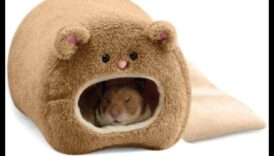 Kāmja svarīgākie punkti turpinājums: Mazā grauzēja krāšņā skapja paplašināšana un uzlabošana