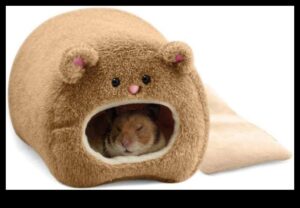 Kāmja svarīgākie punkti turpinājums: Mazā grauzēja krāšņā skapja paplašināšana un uzlabošana