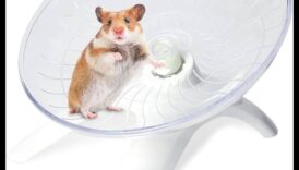 Kāmja riteņu drošība Turpinājums: Atbilstošu izmēru un dizaina izvēle