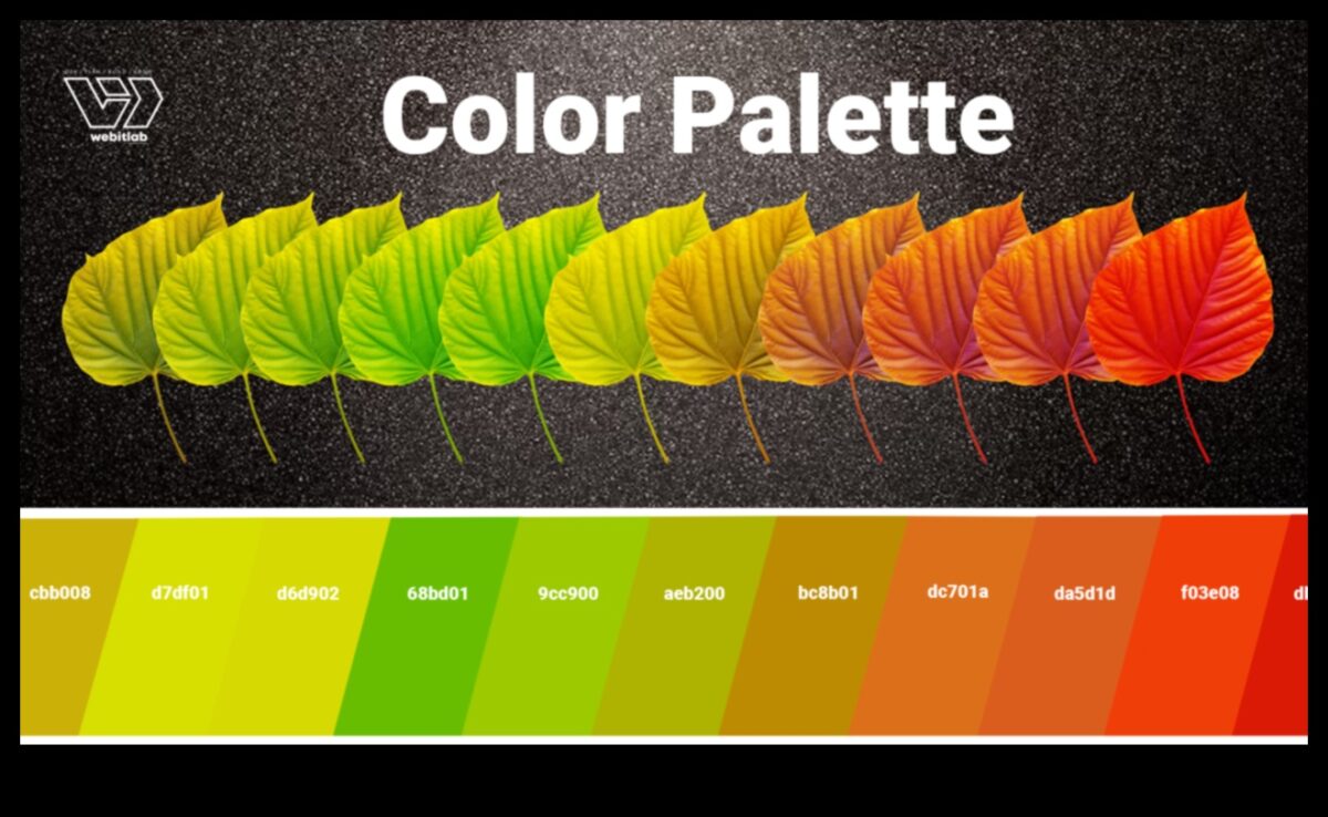 Krāsains radošums: paletes spēks dizaina tendencēs