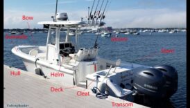 Makšķernieka anatomija Pārliecība attiecībā uz populāro sporta zivju anatomiju 6 Makšķernieka anatomija: Izpratne par populāro sporta zivju anatomiju