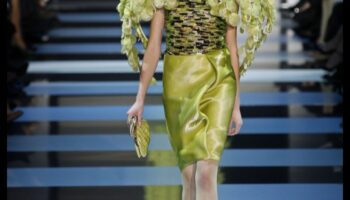 Rāpuļu skrejceļš: stils ar rāpuļiem paredzētiem piederumiem