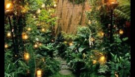 Savdabīgas lidošana burvīgas dārza dizaina burvības 5 Burvīgas āra telpas ar burvīgu botānisku dizainu