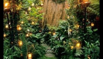 Burvīgas āra telpas ar burvīgu botānisku dizainu