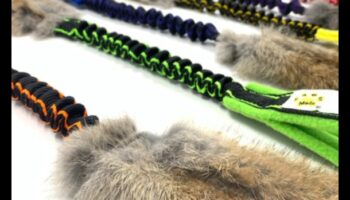 Bunny Bungee: lēkšanas prieka nodrošināšana trušiem