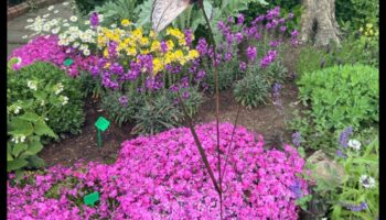 Ziedi bronzā: āra dārza mākslas valdzinājums